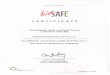 The Workplace Safety and Health Council is ... - essar.com.sgESSAR ITER ATIO AL (S) PTE. LTD. has fulfilled the requirements to attain bizSAFE Level 3 This certificate will expire
