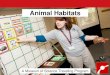Animal Habitats - Museum of Science · Animal Habitats is a 50-minute presentation where students practice science skills to explore the ideal habitat for visiting live animals. Needs