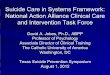 Suicide Care in Systems Framework: National Action ... · Suicide Care in Systems Framework: National Action Alliance Clinical Care and Intervention Task Force David A. Jobes, Ph.D.,