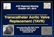 Transcatheter Aortic Valve Replacement (TAVR)inacc.org/.../uploads/2011/10/hermiller_presentation13.pdf · 2015. 1. 29. · James Hermiller, MD, FACC, FSCAI St Vincent Medical Group