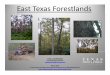 East Texas Forestlands - Texas A&M Forest Service...Growing‐stock trees.Live trees that contain at least one 12‐foot or two 8‐foot logs in the saw‐log portion, either currently