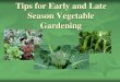 Season Vegetable Gardening - Continuing education...Benefits of Spring Vegetable Gardening Pleasant weather = high enthusiasm Fewer weeds/insects/diseases (not animals!) More sunlight/less