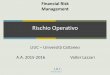 Financial Risk Management - My LIUCmy.liuc.it/MatSup/2015/A93114/capitale.pdf · 2015. 11. 27. · Campione di stima di almeno un anno e Revisione dati di volatilità e correlazione