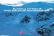 TECHNICAL ASPECTS OF SNOW AVALANCHE RISK ......Technical Aspects of Snow Avalanche Risk Management Resources and Guidelines for Avalanche Practitioners in Canada No part of this book