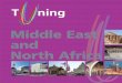 Middle East North Africa - Tuning MEDAtuningmeda.org/storage/2017/04/Booklet-Tuning-MEDA-ENGL... · 2019. 5. 31. · 2 Tuning Middle East and North Africa Introduction The European