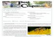 Insects, Mites, And Nematodes - Extension Entomologyextension.entm.purdue.edu/pestcrop/2012/issue3/PandC3.pdf · 1-2 qt/A glyphosate (4lb ai formulation) 1-2 qt/A glyphosate + 1-2