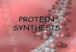 Protein Synthesis - Weebly · End Product –The Protein! •The end products of protein synthesis is a primary structure of a protein •A sequence of amino acid bonded together