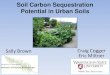 Soil Carbon Sequestration Potential in Urban Soils · 2017. 8. 14. · Soil Carbon Sequestration Potential in Urban Soils Sally Brown Craig Cogger ... “Soils for Salmon” approach