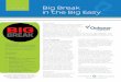Big Break in the Big Easy - HIT Consultant · 2014. 5. 1. · and credentialed in the appropriate ... a desire to learn all facets of Epic and a positive ... personality traits necessary