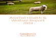 Animal Health & Welfare Report 2019/media/Files/S... · 2020. 9. 11. · animal health and welfare policies underpin this strategy and apply to all farmed species and countries in