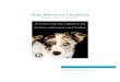 Dog Behavior Handout - Teamworks Dog Training llc · Rough-housing with the dog, using your hands as a toy. START BY: No more rough-housing or wrestling games. Use a toy in the dog’s