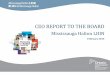 CEO REPORT TO THE BOARD - Mississauga Halton LHIN · 2015. 4. 7. · Mississauga Halton LHIN in the fall, which was endorsed by the Mississauga Halton LHIN. They continue to develop