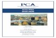 Area Plan 2016-2020 - pcacares.org€¦ · October 1, 2016 through September 30, 2020. PCA’s Area Plan is a document that will educate and inform its stakeholders – consumers,