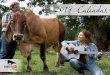 2019 Calendar - Rowdy Girl Sanctuary€¦ · world, my project on Indiegogo was funded early May 2015. We are home to cows, pigs, chickens, roosters, ducks, horses and goats. So many