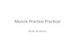 Muscle Practice Practical - Phoenix College pages 11...Station 19 5. Muscles 4. Muscle 6. Muscles 1. Muscle. Station 20 1. Muscle 2. Muscle 4. Muscle 3. Muscle. Station 21 1. Muscle