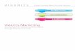 Viderity Marketing · digital marketing capability that can grow and adapt to support additional brand teams over time, transforming the way business is done. Viderity Interactive