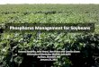 Phosphorus Management for Soybeans€¦ · P Uptake and Removal by Annual Crops Seed Yield Uptake/Removal* Crop bu/acre lb P 2 O 5 /ac lb/bu Wheat 45 bu 36 (26) 0.59 Canola 45 bu