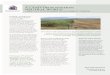 A Land-Degredation Neutral WorldAchieving land-degradation neutrality is essential Restoring land can improve food security and nutrition in the affected countries and raise income