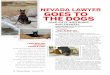 NeVADA lAwyeR GOeS TO TDOGSHe - State Bar of Nevada€¦ · stray cat and this lawyer lady took me in when I showed up at her house in 2004, tired and hungry. She fed me and took