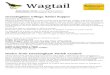 Wagtail09G.pdf · 2020. 9. 2. · Wagtail September 2018 • Gressingham edition also published in Whittington and Arkholme Gressingham Village Safari Supper Saturday 28 September