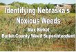 Nebraska’s Noxious Weeds Point Noxious... · 2015. 1. 29. · Nebraska’s Noxious Weeds 1. Canada Thistle - 1873 2. Musk Thistle - 1962 3. Leafy Spurge - 1962 4. Plumeless Thistle