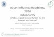 Avian Influenza Roadshow 2016 Biosecurity · Avian Influenza Roadshow 2016 Biosecurity What does good biosecurity look like and how can you improve? British Veterinary Poultry Association