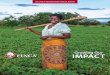 Growing Our IMPACT - FINCA International · GROWING OUR IMPACT 1 Dear Supporters, Any business, no matter the size, is focused on growth. From a FINCA client selling flour to her