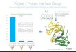Protein / Protein Interface Design - Cyrus Bio21 Protein / Protein Interface Design Example:Bispecific IgG Antibodies Orthogonal Fab Interface Design Lewis et al., Nature Biotechnology,