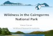 Presentation: Wildness in the Cairngorms National Park...• Developments in Europe • Mapping wildness in the Cairngorms National Park • Further work The importance of wild land