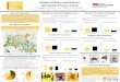 Resident Attitudes toward Bees in Metropolitan Phoenix ... · Bees provide essential ecosystem services, such as pollination of agricultural crops and the maintenance of biodiversity