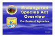 Endangered Species Act Overview - United States Army · Endangered Species Act Overview For Federal Agencies Endangered Species Program, U.S. Fish and Wildlife Service PCFL 2006