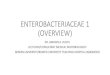 ENTEROBACTERIACEAE 1 (OVERVIEW) · SCIENTIFIC CLASSIFICATION •Kingdom: Bacteria •Phylum: Protobacteria •Class: Gamma Proteobacteria •Order: Enterobacteriales •Family: Enterobacteriaceae