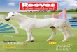 MID YEAR 2013 - Identify Your Breyer · • TOLO ® Animals of the ... toys for the animal-loving child! neW indoor-outdoor toys! *not included. 6 RED TOOLBOX has expanded the world