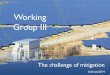 Working Group III - University of Exeter · •Existing and proposed international climate change cooperation arrangements vary in their focus and degree of centralization and coordination