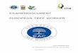 Examendocument European TreeWorker · Het European Tree Worker certificaat werd tussen 1996 en 1999 ontwikkeld binnen het ... factoren ter plaatse en inzicht hebben in de invloed