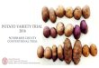 Potato Variety Trial 2016 Schoharie County Conventional TrialNY 118 Notable Characteristics • My overall favorite red • Attractive round tubers (Chefs tend to be more oblong) •