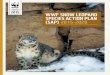 STRATEGY 2015 WWF SNOW LEOPARD SPECIES ACTION PLAN …€¦ · WWF Snow Leopard Species Action Plan 5 Acronyms 5 FOREWORD 7 EXECUTIVE SUMMARY 8 1. BACKGROUND 11 1.1Summary 11 1.2