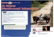 California Standards - norcoint.cnusd.k12.ca.us · the Battle of Waterloo. 1820 1823 The Missouri Compromise allows Maine and Missouri to become states. ... As you read Chapter 8,