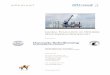 New GLOBAL EVALUATION OF FFSHORE WIND SHIPPING … · 2017. 7. 24. · GLOBAL EVALUATION OF OFFSHORE WIND SHIPPING OPPORTUNITY Presented to: Danish Shipowners’ Association and the