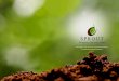 Sprout Bio CommunicationsTo rejuvenate your marketing collaterals To bring freshness and vitality in your ... share To spur your business growth by reaching wider and better . We understand
