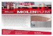 Molin Activates Automated FINISHED PANELS Surface Treatment … · 2016 » Q4 ISSUE ISSUE CONTENTS: Molin Automated Surface Treatment Process Employee News: Roxann Ostendorf Kassie