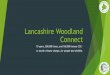 Lancashire Woodland Connect · Lancashire Woodland Connect 10 years, 500,000 trees, and 160,000 tonnes CO2 – to tackle climate change, for people and wildlife