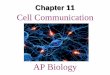 Chapter 11 Cell Communication · Overview: The Cellular Internet • Cell-to-cell communication is important for multicellular organisms • The trillions of cells that make up these