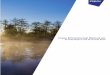 Impax Environmental Markets plc Annual Report and Accounts ...€¦ · Investment Objective, Financial Information and Performance Summary 1 Chairman’s Statement 2 Manager’s Report