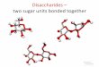 Disaccharides two sugar units bonded togethercondensation reactions . Maltose (two glucose units) ... Sucrose (glucose + fructose) is a transport form of sugar used by plants and harvested