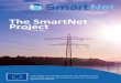 The SmartNet Projectsmartnet-project.eu/wp-content/uploads/2016/03/SmartNet... · Till now, distribution networks have been managed with a fit-and-forget philosophy. In the future,