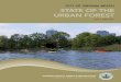 state of the urban forest - Virginia Beach, Virginia · nancy mcintyre | Project Manager | Development Services Center paul J. scully ... will provide updated city-wide standards