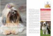 mandylimcreates.files.wordpress.com · perhaps as long ago as 800 B.C., the Lhasa Apso is a small dog of hardy and vigorous constitution. This is no wonder, considering how the climate