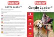 Gentle Leader - ZoobioTraining Guide Gentle Leader ... hond of puppy de basis van gehoorzaamheid vlug en op vriendelijke wijze. Geeft ... Lhasa Apso Also suitable for Medium/Large