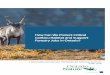 How Can We Protect Critical Caribou Habitat and Support ......Species Act (ESA) and Canada’s Species at Risk Act (SARA). Ontario’s ESA requires that certain steps 4 How Can We